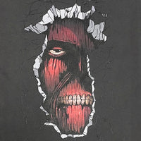 Wall Titan Vintage T-shirt