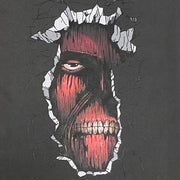 Wall Titan Vintage T-shirt