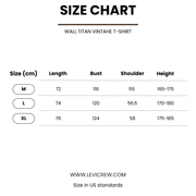 Wall Titan Vintage T-shirt